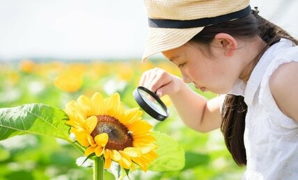 あなたが子どもの頃、夏休みの「自由研究」に選んだテーマは 我が子と一緒にどこまでやる?【AERAアンケート】