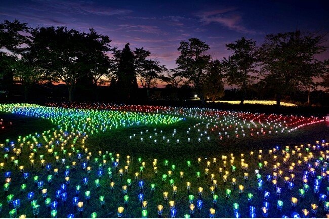 写真・図版(1枚目)| 【新潟県小千谷市】イルミネーションイベント「オヂヤホタル OJIYA HOTARU illumination」を実施します(夏期:8月19日-)