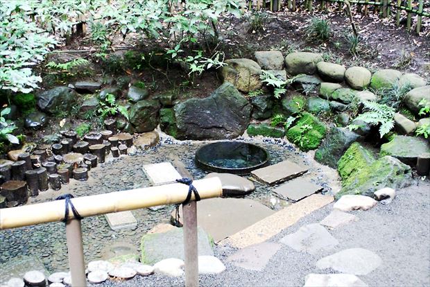 東京屈指のパワースポットとして有名な明治神宮の清正井