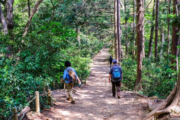 いきなり高い山に挑戦するのではなく、まずは難易度が低い山で再開しよう