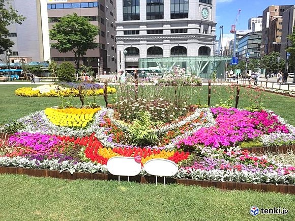 「花フェスタ２０１６」の花壇