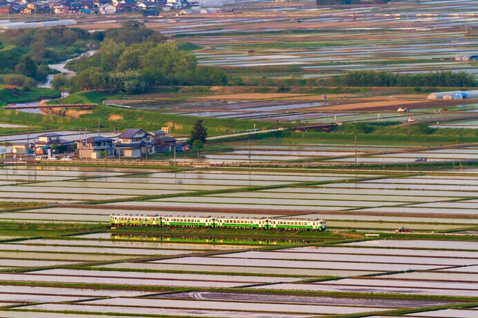 水が引かれたばかりの日本の田園は世界一の美しさではないでしょうか