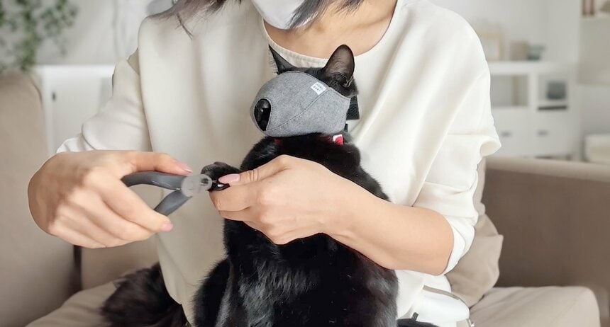 猫の爪を切るときに猫がおとなしくなる「猫マスク」というグッズも登場（提供：クロス・クローバー・ジャパン）
