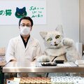 松山発・行列のできるプリン店 アルバイト猫「ミクちゃん」はなぜ電卓を使えるのか