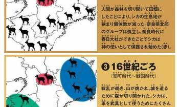 奈良公園のシカ、いつ、どこから来た? 実は「野生」で歴史は1000年以上!専門家が解説