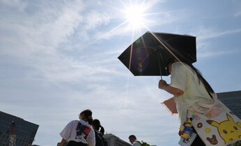 ニチレイ、東宝、ニトリ…暑くなるほど株価は上がる!? 猛暑が追い風の銘柄を専門家に聞いた