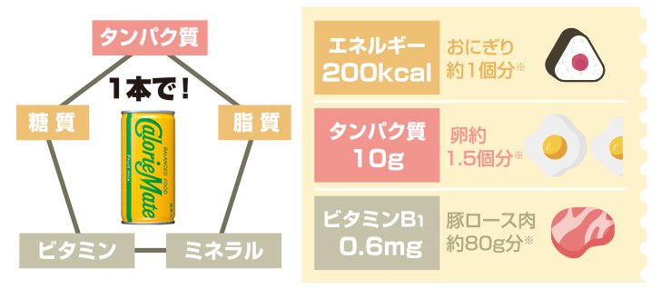※「日本食品標準成分表2020年版(八訂)」から
