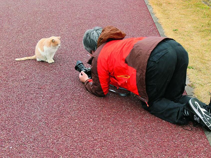 猫の目線までカメラを下げてじっくりと近づく。カメラの前に猫がいなかったら、完全に「変な人」状態
