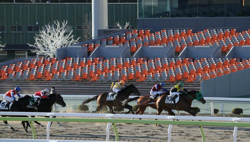JRAは当面の間、無観客で競走を実施すると決めた (c)朝日新聞社