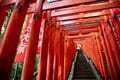 おみくじ箱を「おもちゃ」に、鳥居でダンス…インバウンド客の「不敬行為」に悩む神社の本音