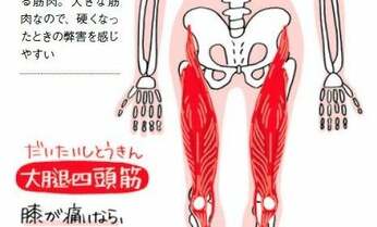 膝と腰の痛みを同時に消す神ストレッチ