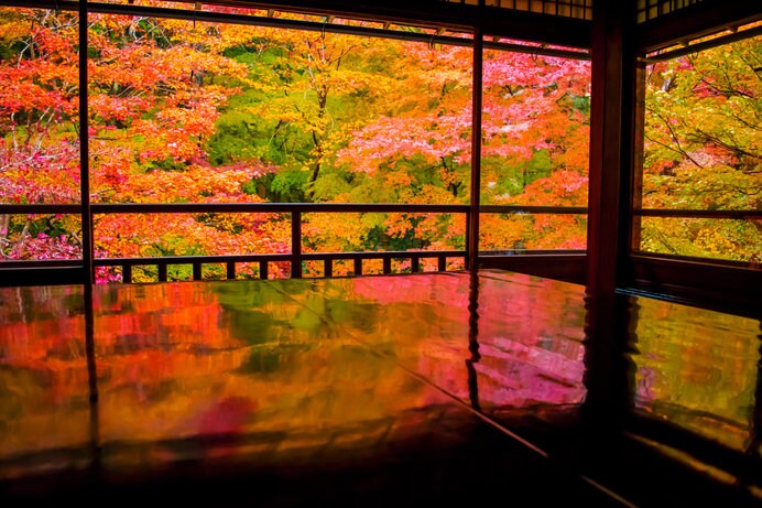 黒塗り机の天板に「瑠璃の庭」の絢爛たる紅葉が映るリフレクション風景が人気