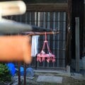 70・80代ヘルパー「やめるにやめられない」現場で何が? 人材難と低賃金で進む高齢化