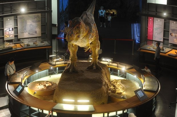 子どもから大人までが楽しめる福井県立恐竜博物