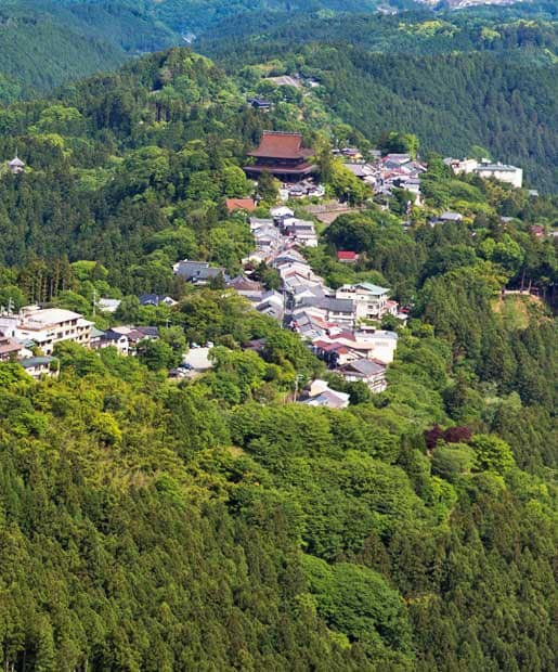 吉野山の尾根上にある大きな建物が１３００年前に役行者が開いたという修験道の総本山、金峯山寺だ。まわりには、旅館や飲食店などが並ぶ（撮影／植田真紗美）