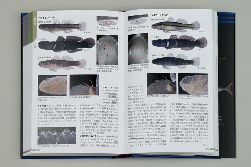2018年、魚類の研究者でもある天皇陛下が執筆に加わった図鑑「日本魚類館」（小学館）が出版された。（写真／宮内庁提供）