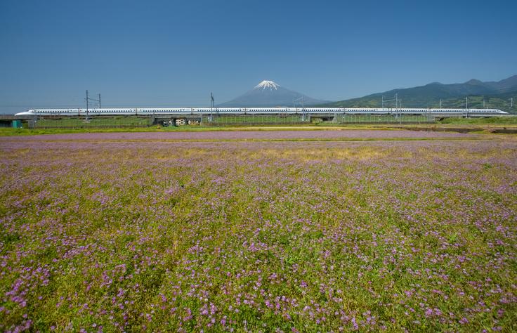 ※写真はイメージです（GettyImages）