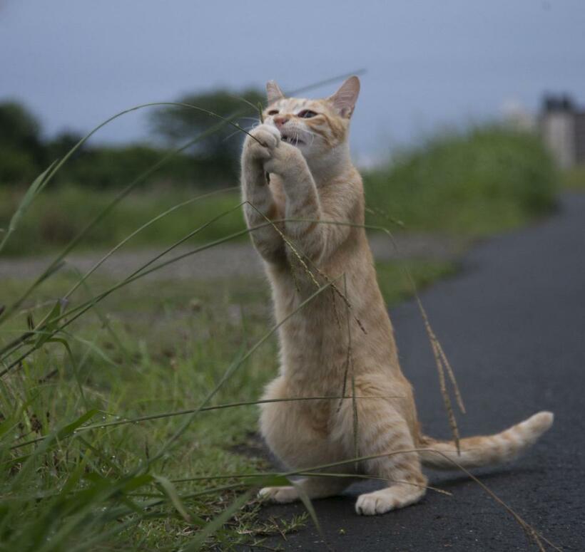 その闘いは、孤独な闘いかもしれない。