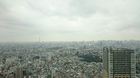 今日の東京都心　どんよりとした空模様