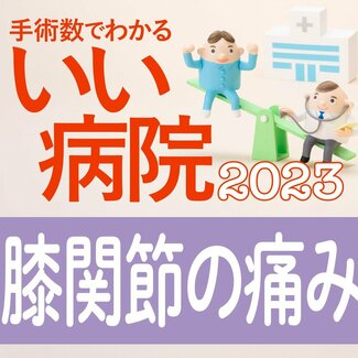 膝の痛みを治す 手術数が多い病院全国トップ40 1位苑田会人工関節センター、2位あんしん病院、3位船橋整形外科