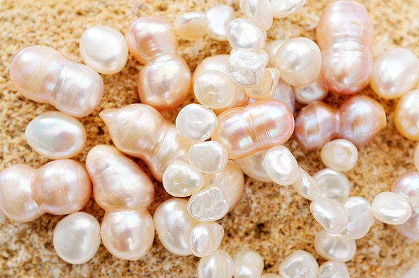 形の不ぞろいな天然真珠は万に一つの奇跡