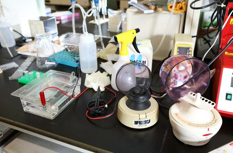 増幅した遺伝子を分析する電気泳動装置（左の透明な容器）と、小型遠心器（右の白い円柱形土台の装置）（撮影／写真部・松永卓也）