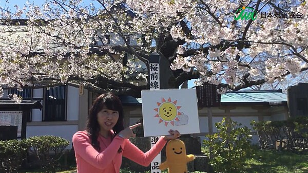 桜前線が北海道で一番最初に上陸する町：松前町