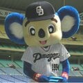 体調不良になった「ドアラ」の“中の人”は超激務? マスコット企業代表が明かす「知られざる内情」