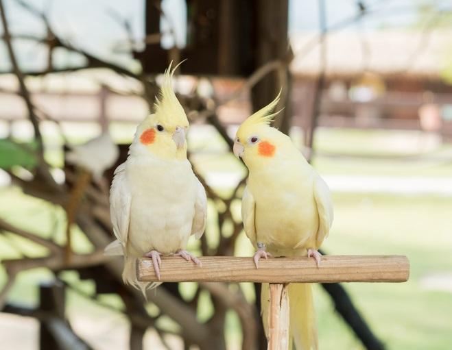 ※写真はイメージです (GettyImages)