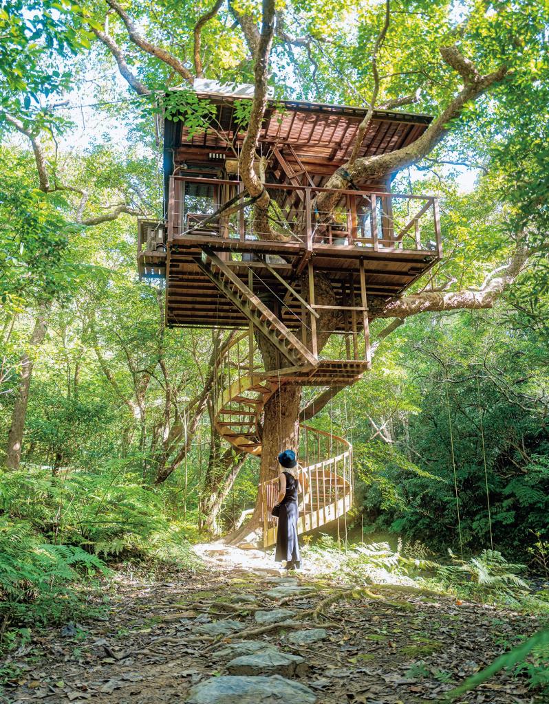 Treeful Treehouse Sustainable Resort／このツリーハウスはもちろん、リゾート内の随所に自然と共存する工夫がみられる。亜熱帯植物に囲まれて眠るのは、どんな気分だろう
