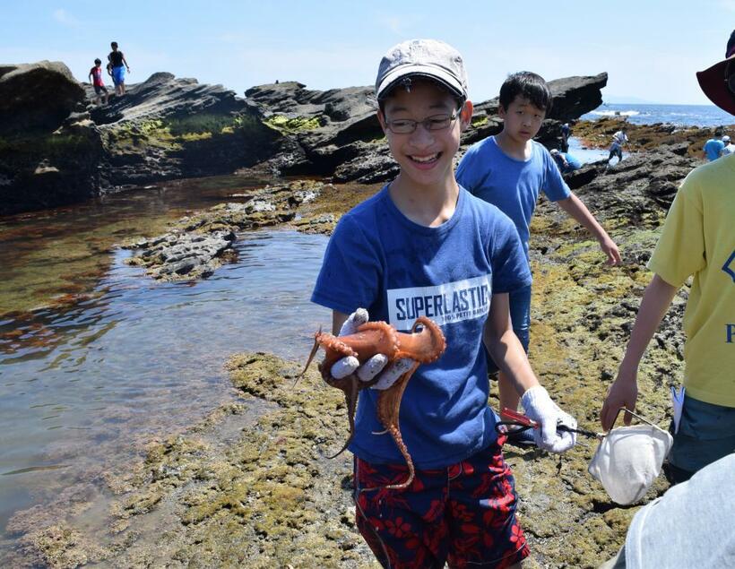 世田谷学園では神奈川・三浦半島の南端にある城ケ島で「自然観察会」を行い、磯の生物も観察する。本物を体験することが大切だという