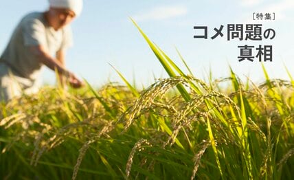 ｢米を増産せよ｣の大号令に｢今さら無理｣と農家の怒り   9割が「経営が苦しい」崖っぷちの事情