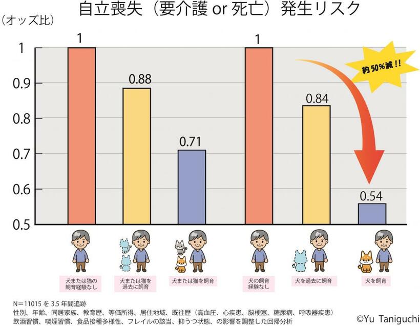 提供／谷口優氏