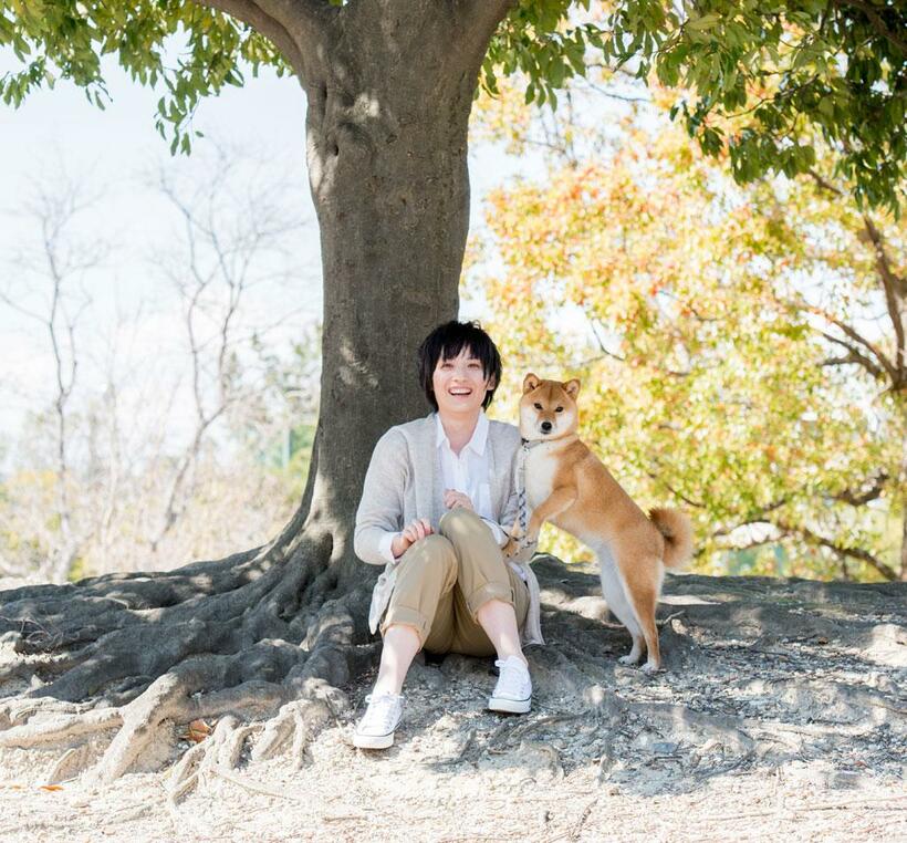 ニックネーム「柴犬コマリ」さんは、ＴｉｋＴｏｋのペット関連アカウント（日本）で初の１００万フォロワー突破も達成している（撮影／写真部・小山幸祐）