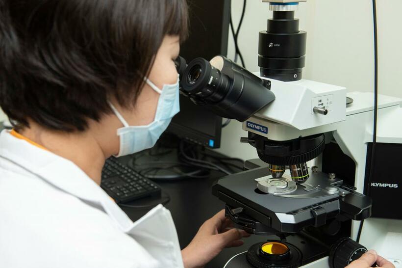 顕微鏡で精子の運動について詳細に調べる（撮影／工藤隆太郎）