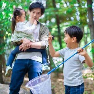子どもに自慢できる昆虫採集トリビア 昆虫が集まるライトの種類は?鳴くセミと鳴かないセミは?