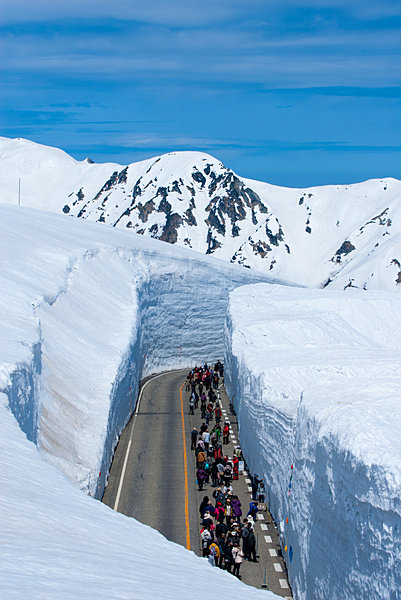 誰もが思わず歓声を上げる、500mに渡って連なる「雪の大谷」の雪の壁！