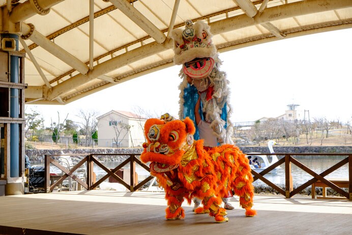 中国の獅子舞はカラフル＆アクロバティック！