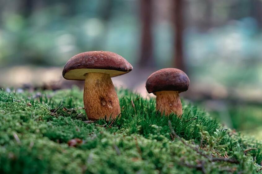 ※写真はイメージです (GettyImages)