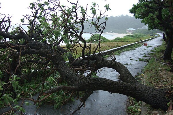 いたる所に甚大な被害を及ぼす台風の驚異
