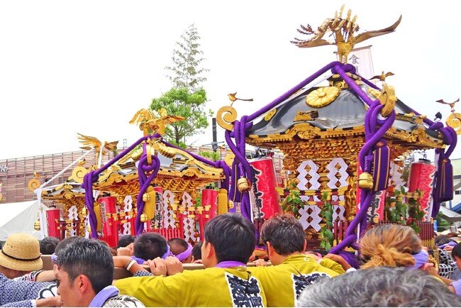 写真・図版（1枚目）| 【神奈川県寒川町】夏の一大祭り 第11回「さむかわ神輿まつり」開催！