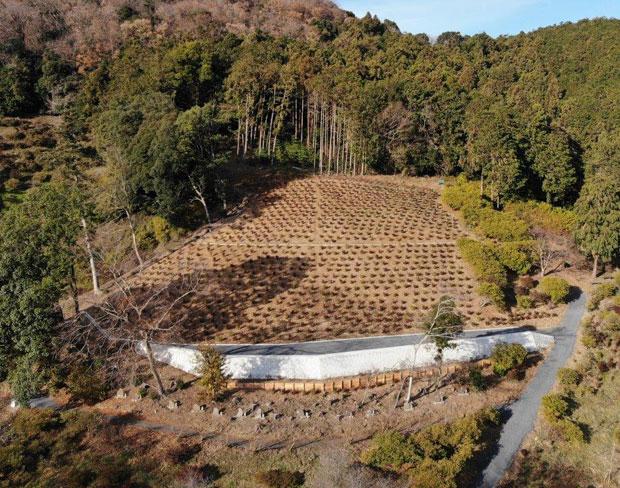埼玉県越生町の公営樹木葬墓苑は、約４千平方メートルの敷地にツツジが植えられる（写真：埼玉県越生町提供）