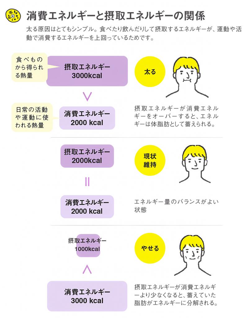イラスト／秋葉あきこ
