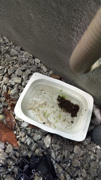 男の家の裏に置かれていた「餌」。どこにでもいそうな普通の人物が、底知れぬ闇を抱えていた