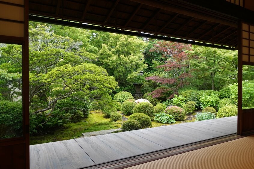 書院から望む庭園には四季の彩りが広がる。忙しない日常から離れ、訪れる人の心を和ませてくれる ※妙心寺天球院の写真はいずれも、取材のため特別に許可を得て撮影。二次利用及び転載は不可