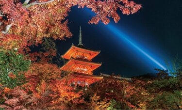 秋の京都は「紅葉×世界遺産」がいい！「ライトアップ」を制するための5つのポイントとは？