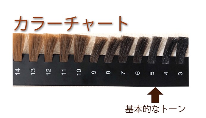 ４〜５が基本的な日本人の髪の色（カラー）でこれを「暗め」と言います