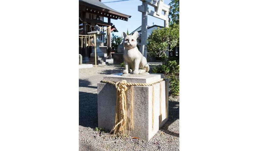 猫好きの人が寄進したという、つぶらな瞳をした猫の石像。境内には、山下洋輔さんが弾く「越天楽」（雅楽の演目）が流れる（撮影／写真部・片山菜緒子）
