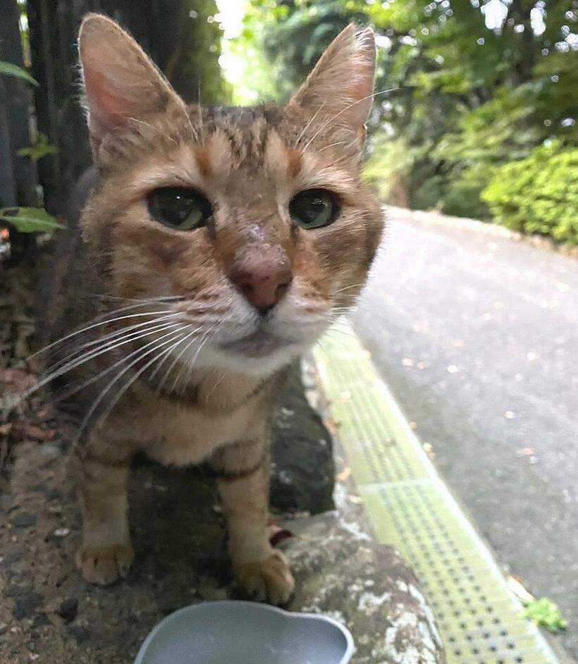 公園時代のチチ