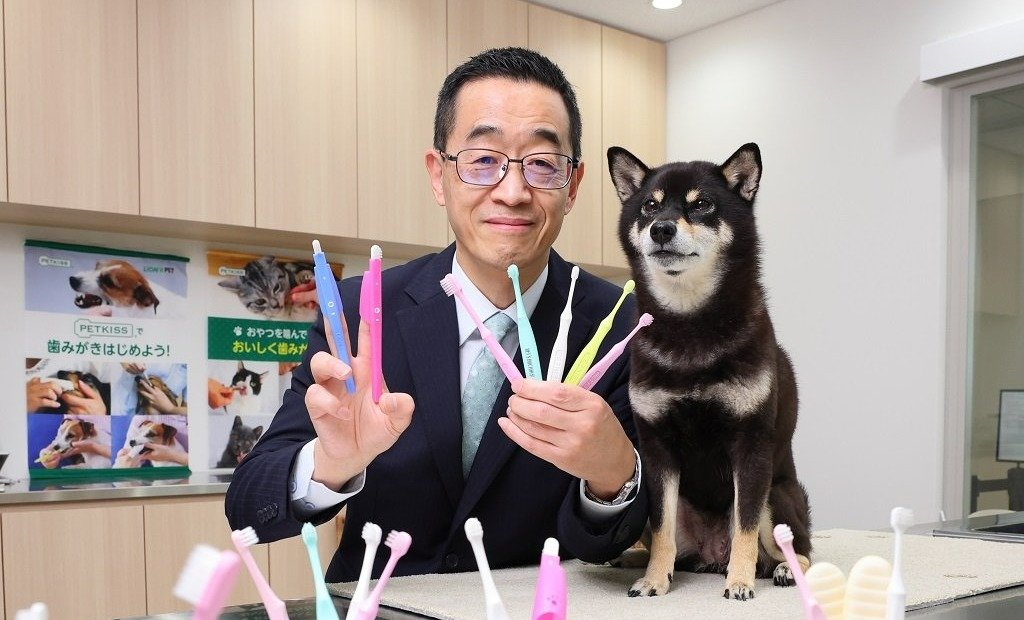 超歓迎された 柴犬好きメガネ 様専用 測ろ スノーボード